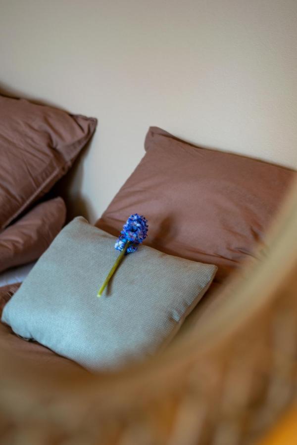 Mosters Bed & Breakfast Guldborg Dış mekan fotoğraf